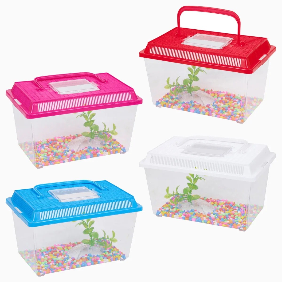 AQUARIUM & SMALL REPTILE  TANK