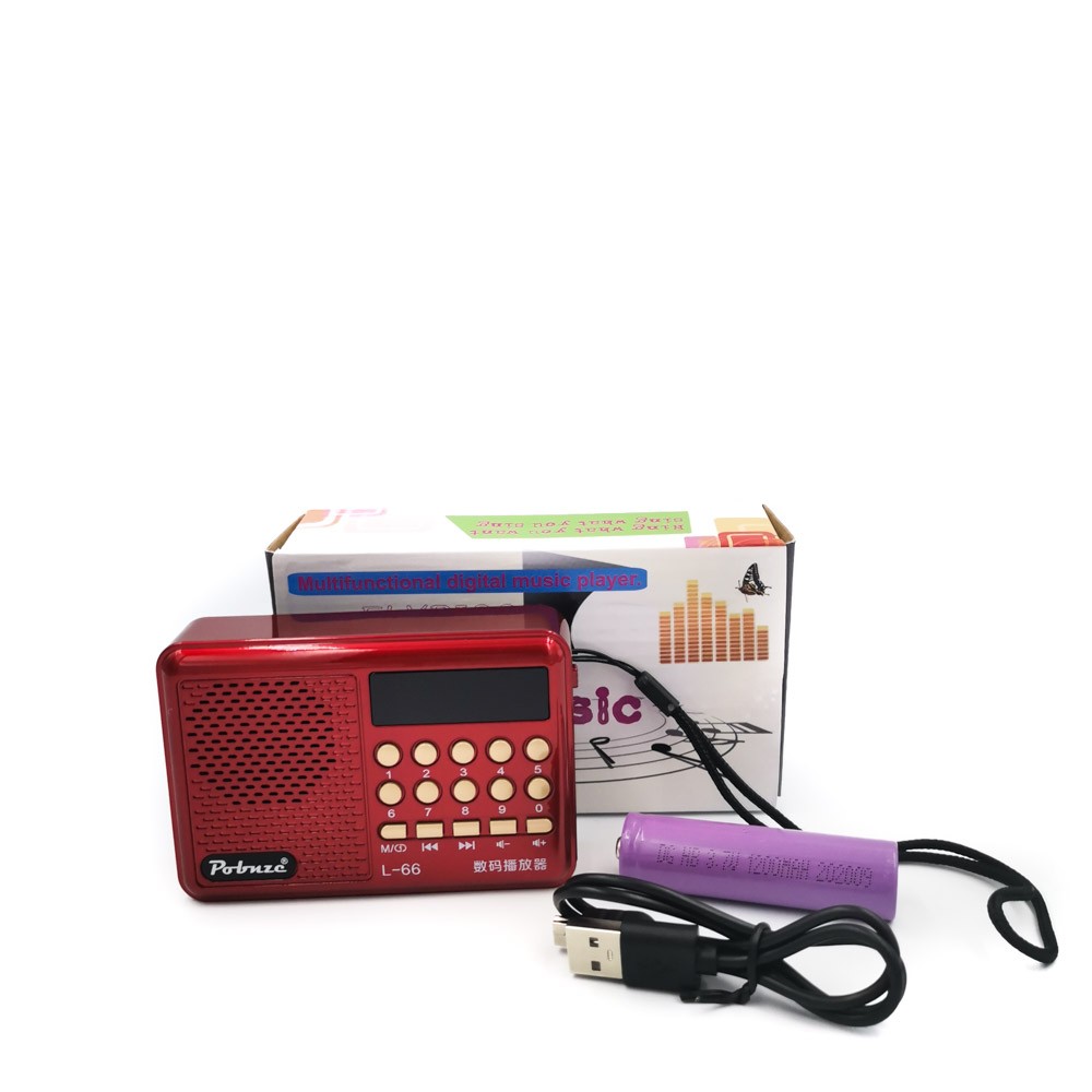 Rechargeable Multifunctional digital music player